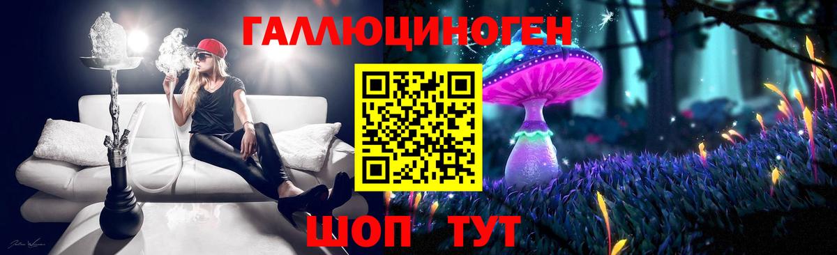 Псилоцибиновые грибы Psilocybe  Вход с VPN  Каменка 